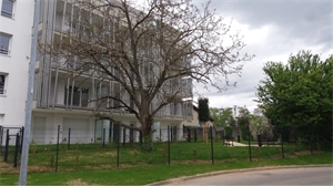 t2 à la location -   69800  SAINT PRIEST, surface 38 m2 location t2 - UBI479593808